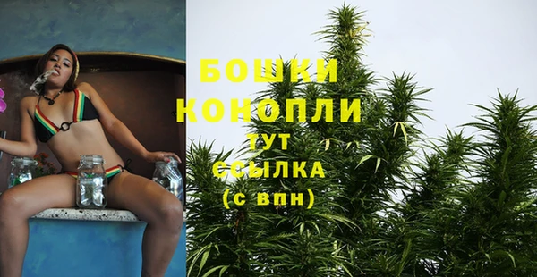 крисы Балабаново