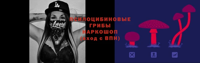 каннабис Баксан