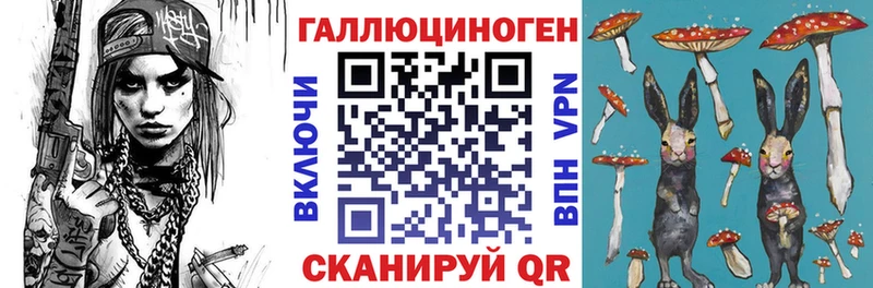 дарнет шоп  Губаха  мега онион  Псилоцибиновые грибы мицелий 